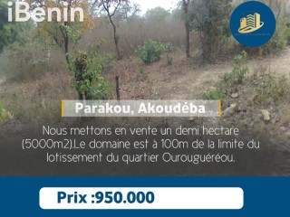 Demi hectare à Parakou Akoudema