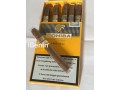 cigarillos-cohiba-a-vendre-small-1