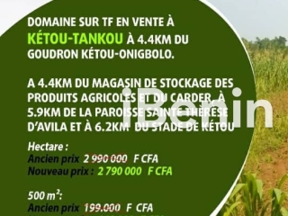 hectares-avec-tf-a-ketou