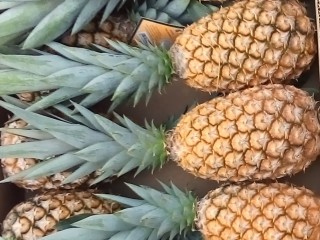 Ananas pain de sucre (FENACOPAB), un goût, une qualité exceptionnelle, une seule origine