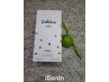 parfum-cabotine-small-3