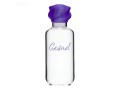 parfum-casual-small-1