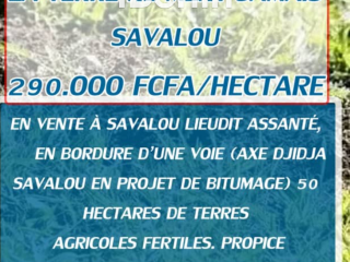 Hectares à Savalou