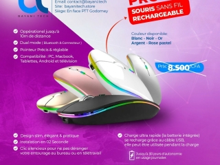 souris-sans-fil-rechargeable