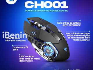 Souris gamer sans fil rechargeable Zornwee